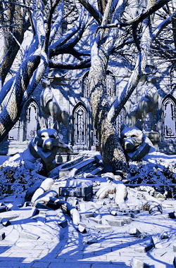 gamerism:ALTALTALTALTALTALTALTALTDRAGON AGE INQUISITION: EMPRISE DU LION - SULEDIN