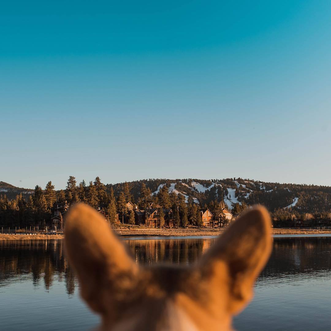 girrlscout:  Take me back to the mountains with my man and my loaf. 🌲🌤🏔🍞