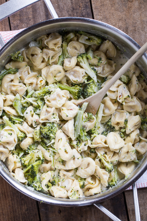 prettypasta:Broccoli Alfredo Tortellini