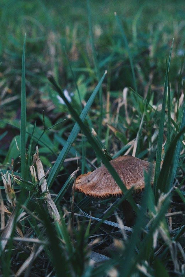 relievemysoultonight:  Getting into photography and I love it. 