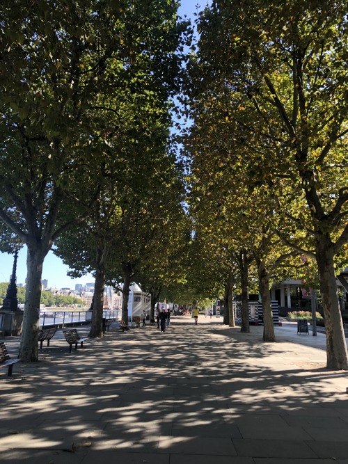 London Southbank in summer