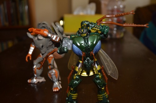 Some more in-hand images of generations Rattrap.