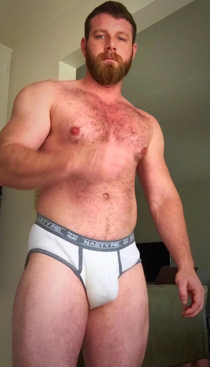 Jockstrapped Bears