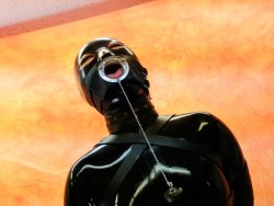 tasksforsubsandslaves:  Love this gag, pull out the plug for use, fill and put the plug back in.