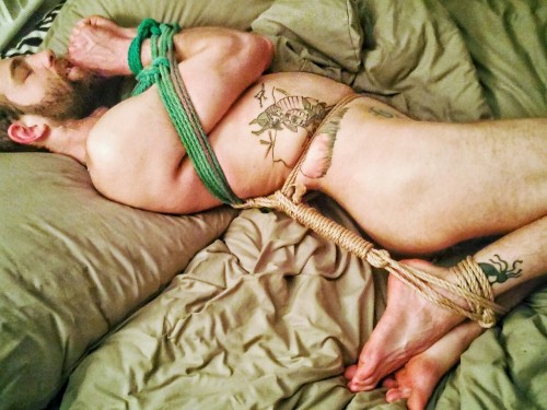 jocksandcubs.tumblr.com/post/151515407083/