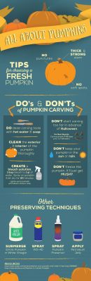 truebluemeandyou:   All About Pumpkins Infographic.