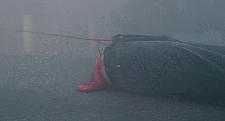 aidanphantom:  The Mist (2007) 
