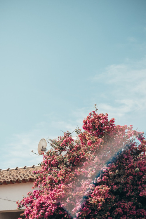 Alentejo, Portugal by Carrie on Flickr