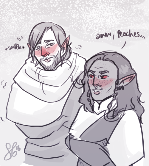 two dragonborn dorks and their favourite travelling companions :’)aeronir (tall blushy nerd) i