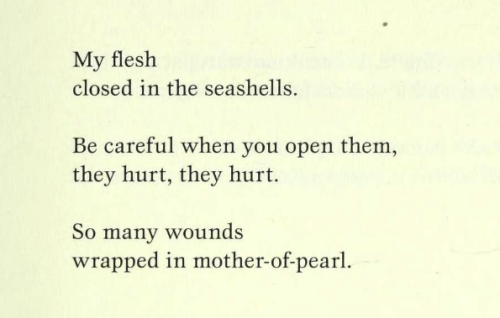 Moikom Zeqo, ‘On a Beach’, I Don’t Believe in Ghosts: Poems from ‘Meduza’ (trans. Wayne Miller)