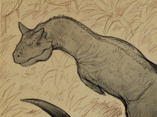Hi there!Warm Up Sketch: Carnotaurus (15 min)