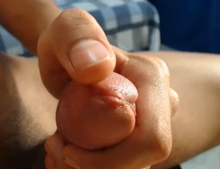 I love cocks