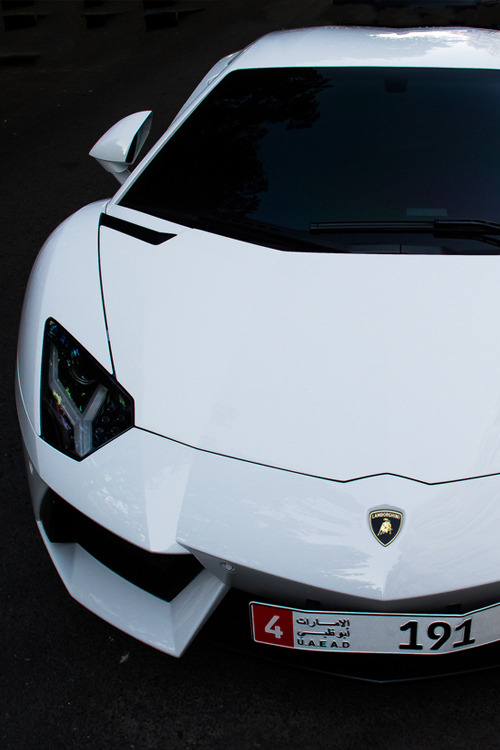 billionaired:  Aventador by Benoit 