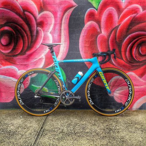 pedalitout: A touch of colour …… #propel @giantbikesaus by northsidewheelers ift.tt/1NIMefT