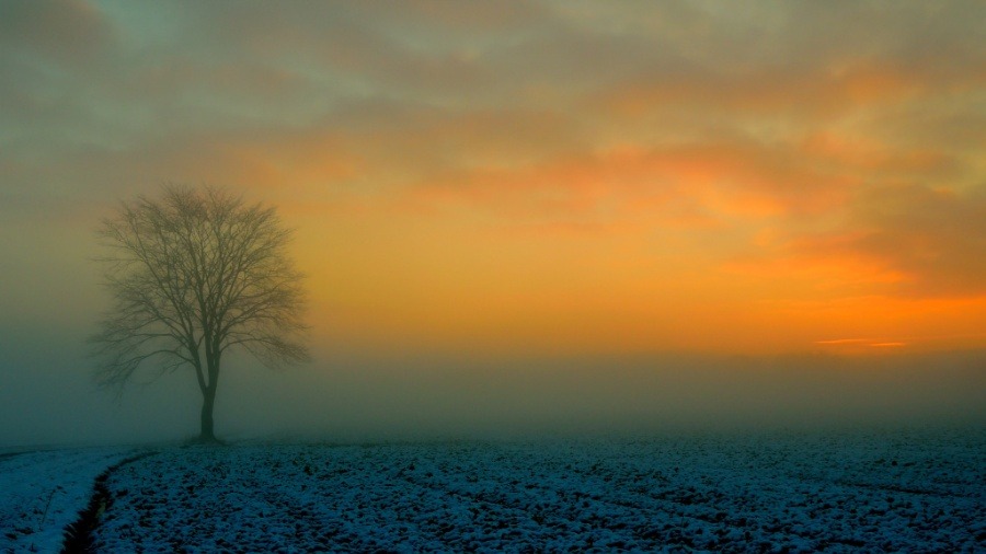 morethanphotography:
“Morning Frosty Mist by periis
”
In that lonely place Frodo for the first time fully realized his homelessness and danger. He wished bitterly that his fortune had left him in the quiet and beloved Shire. He stared down at the...