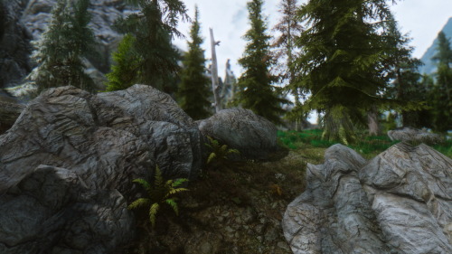 Anko ENB Beta