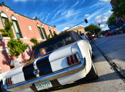 JUST THE COOLEST MUSTANGS