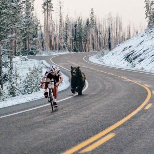 pingonow:the rider on this pic isn’t dressed warm enough but I’m sure he doesn’t feel the cold in that very moment