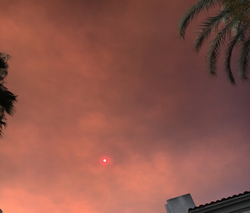 danger:did you see the red sun - find more pics on my Instagram