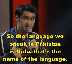 yolobaggins:  stand-up-comic-gifs:  Kumail adult photos