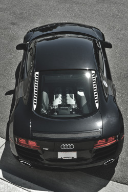 artoftheautomobile:  Audi R8 V10 (Credit: