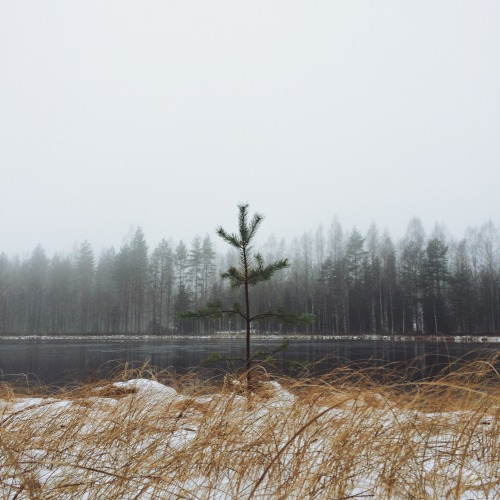 danielodowd:  Dansmoe