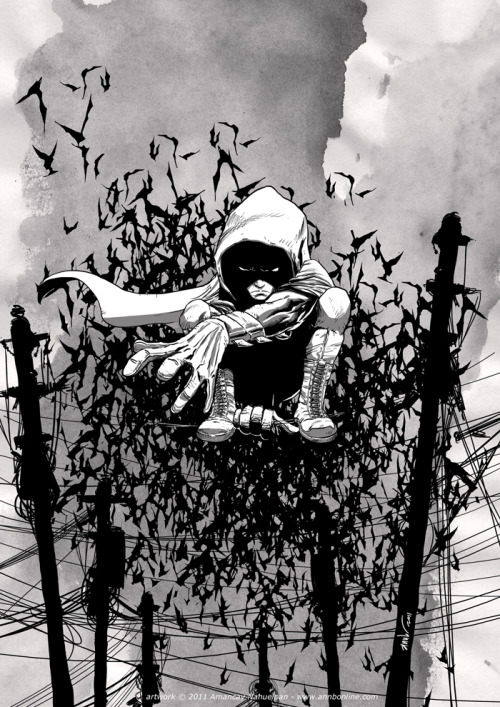 failed-mad-scientist:  Robin - Amancay Nahuelpan