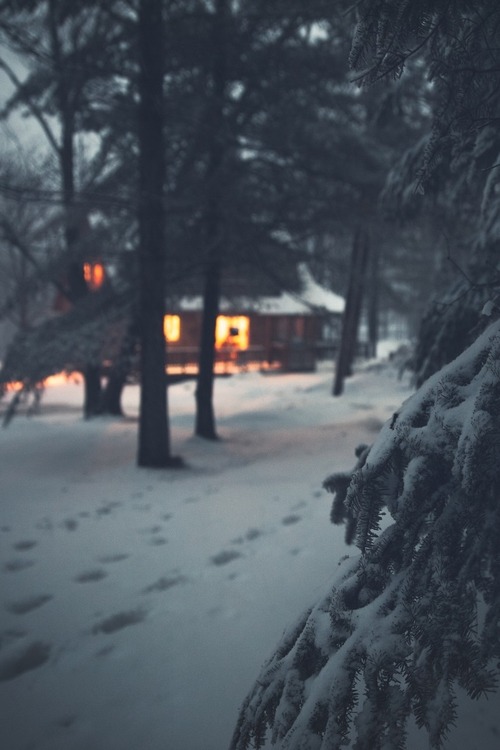 sweetnovember19:  ★ follow for more like this ★