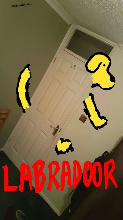itsagifnotagif:Door puns because you can’t just do 1Snapchat: itsagifnotagif