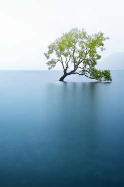 touchdisky:  Lake Wanaka | New Zealand by Noval