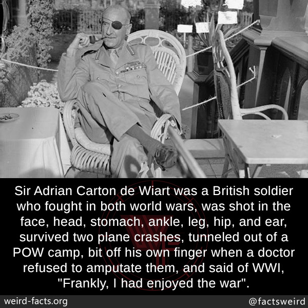 Weird Facts