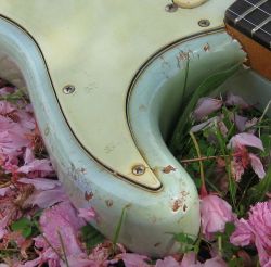 morigrrl:  1961 Fender strat sonic blue 