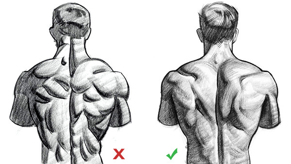 stanprokopenko:
“When we don’t understand the forms of the back we end up shading a bunch of blobs. Learn how to draw the upper back correctly at proko.com/134
”