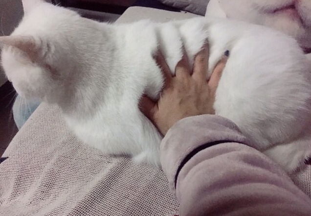 lazypink1