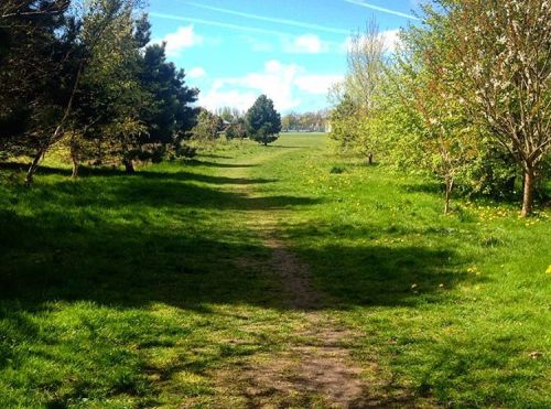 Nice day for a walk in the park #walk #walkinthepark #sunnyday #stillcoldthough #trees #park #summer