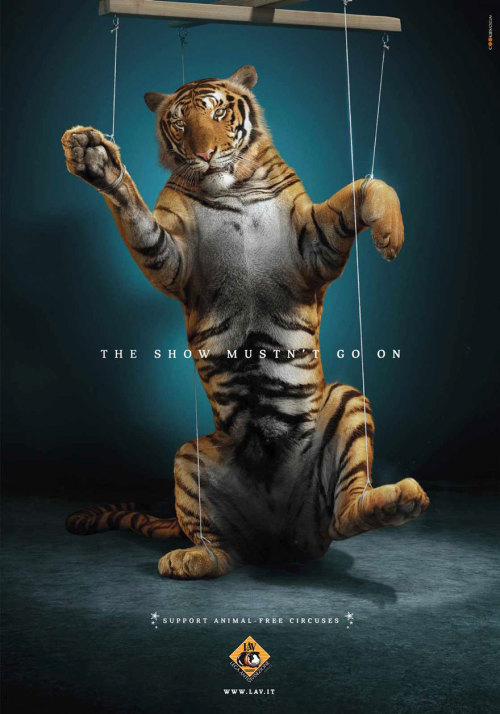 asylum-art:  11 . Powerful Animal Ad Campaigns adult photos