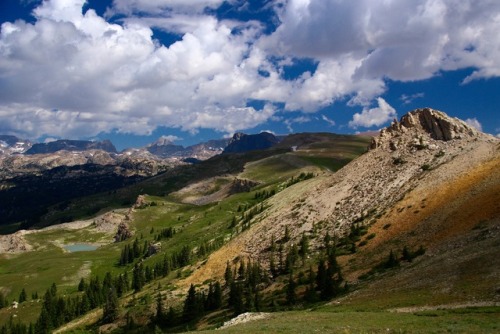 Beartooth Butte2017