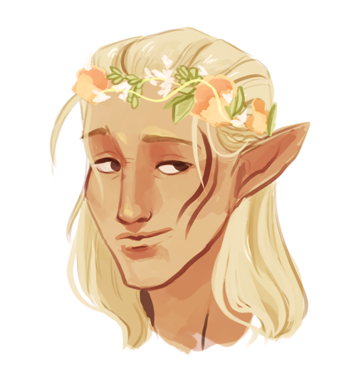 dekuku: oh here’s a zev as weEElll