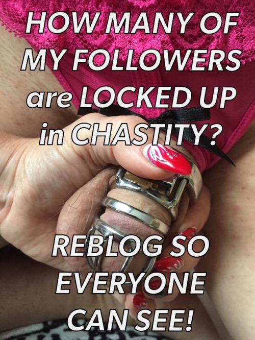 chastity-queen:  Chastity Queen is curious!