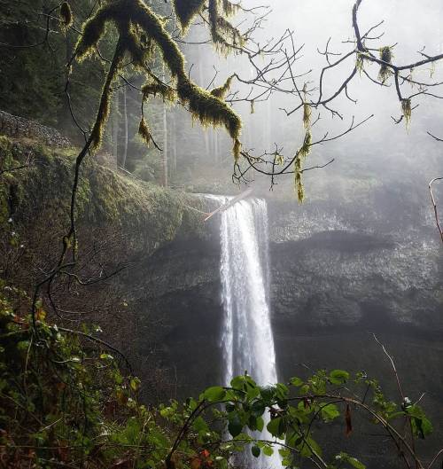 Porn Hiking around Silver Falls State Park! This photos