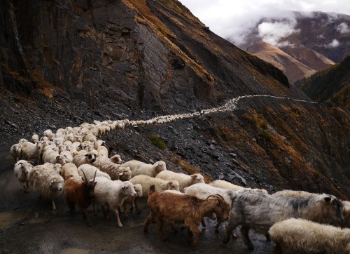 killing-the-prophet:The climb to Abano Pass, in Georgia is regarded as one of the most dangerous on 