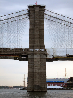 rikaorlanda:  Lewy Brooklyn Bridge, NY