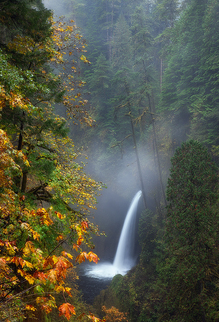 tearingdowndoors:  / \ \ // D Breezy Metlako Falls, OR