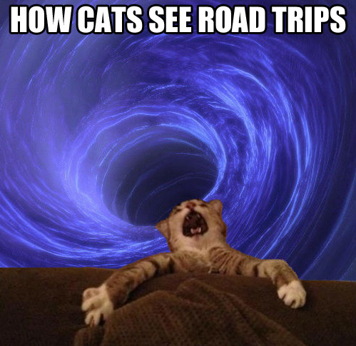 tastefullyoffensive:  [via] 