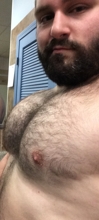 BearWindow