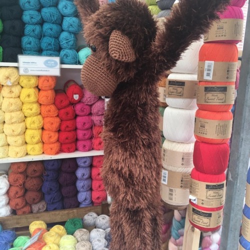 Some one shaved a Muppet &hellip; #hoorn #weversmarkt #rainbow #shavedmuppet #funfur #eyelashyar