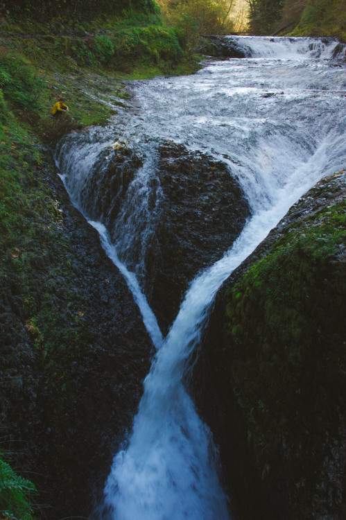 peaceful-moon:  ☮ nature aฏ๎๎๎๎๎๎๎๎๎๎๎๎๎๎๎๎๎๎๎๎๎๎d good vibes ☾
