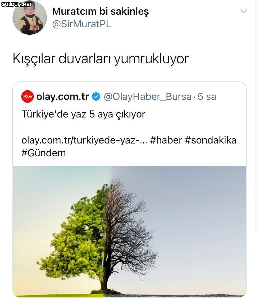 Muratcım bi sakinleş...