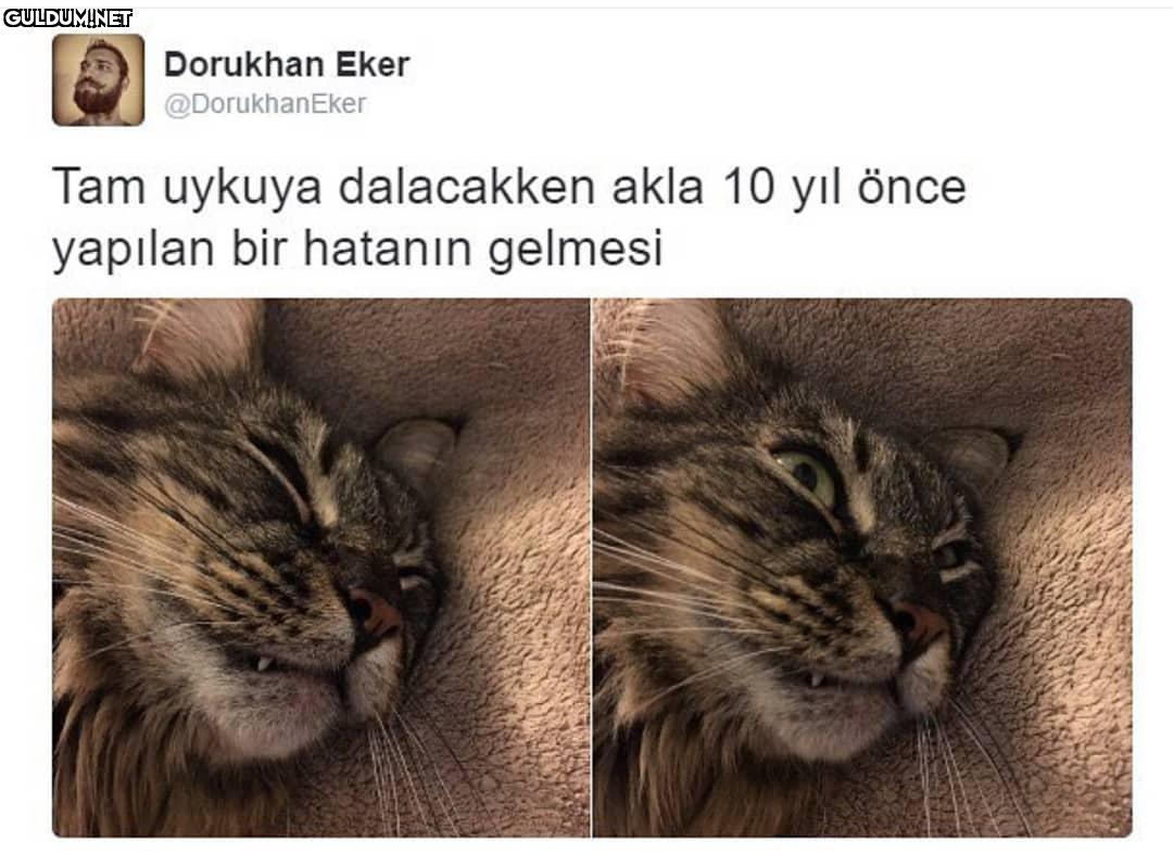 Dorukhan Eker...