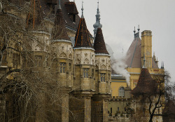 bluepueblo:  Medieval, Vajdahunyad Castle,